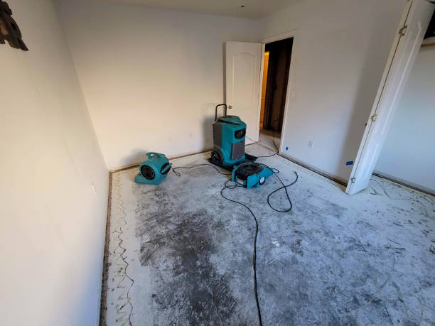 Best Water damage restoration services  in Skyline Ganipa, NM
