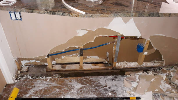 Best Flood restoration services  in Skyline Ganipa, NM
