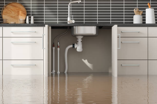 Best 24/7 water damage repair  in Skyline Ganipa, NM